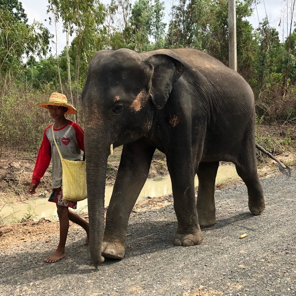 Meet your Posher, Erin